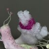 “Slow Magic” | Pink Crystallized Sculpture THE WHISPERS BEHIND THE MAGIC DOOR Collection. Fantasy art by Svetlana Matveeva. Surreal mixed media sculpture | Sculpted from Cosclay